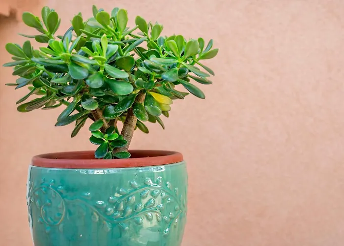 Andrea-3 By Interhome アパート ザボリッチ